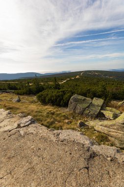 Tepelerin ve dağların güzel manzarası yeşil çalılarla dolu, sarı çimenler ve güneşli sonbahar gününde büyük kayalar.