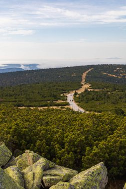 Tepelerin ve dağların güzel manzarası yeşil çalılarla dolu, sarı çimenler ve güneşli sonbahar gününde büyük kayalar.