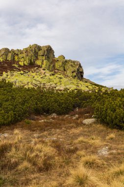 Tepelerin ve dağların güzel manzarası yeşil çalılarla dolu, sarı çimenler ve güneşli sonbahar gününde büyük kayalar.
