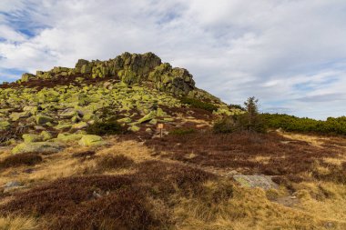 Tepelerin ve dağların güzel manzarası yeşil çalılarla dolu, sarı çimenler ve güneşli sonbahar gününde büyük kayalar.
