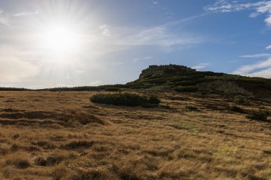 Tepelerin ve dağların güzel manzarası yeşil çalılarla dolu, sarı çimenler ve güneşli sonbahar gününde büyük kayalar.