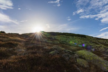 Tepelerin ve dağların güzel manzarası yeşil çalılarla dolu, sarı çimenler ve güneşli sonbahar gününde büyük kayalar.