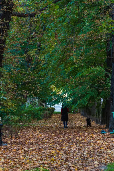 Long Narrow Path Bushes Trees Park Full Colors Fallen Leaves — Stock Photo, Image