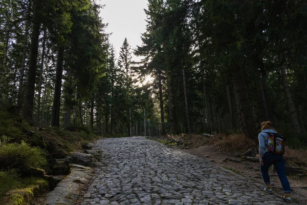 stock image People walking by long curvy and stony mountain trail up between high trees at sunny autumn morning