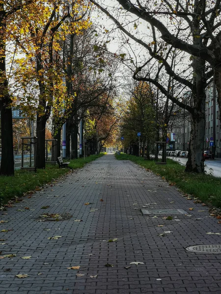 Wroclaw Poland November 2022 Long Sidewalk Long Streets Old High — Stock Photo, Image