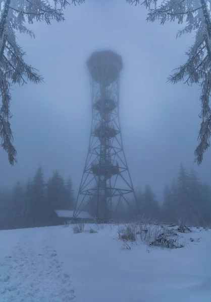 Klodzko Польща Січень 2023 Вигляд Вежі Вершині Гори Клодська Туманом — стокове фото