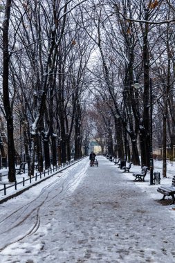 Wroclaw, Polonya - 3 Şubat 2023: Yürüyen insanlarla dolu yüksek yaşlı ağaçların altında, yanında banklar olan güzel uzun yol 