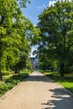 Wroclaw, Polonya - 11 Haziran 2023: Güneşli bir sabah merkezinde bir sürü güzel ağaç, çiçek ve güzel saray bulunan güzel ve renkli Pawlowice Parkı