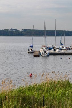 Smardzewice, Polonya - 9 Haziran 2023: Güneşli bir sabahta büyük göl kıyısında tekne ve feribot dolu küçük bir koy