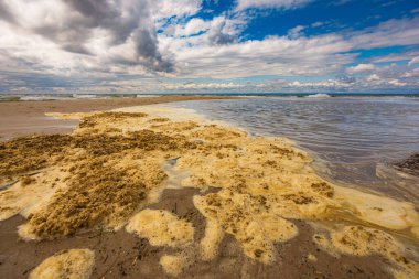 Fırtınalı denizin ve bulutlu gökyüzünün önündeki su birikintisinin yanında kirli su köpüğü ve kumla güzel bir manzara.