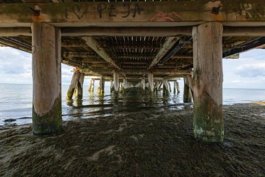 Sopot, Polonya - 22 Temmuz 2023: Ahşap su iskelesinin altında yeşil su çamuruyla dolu büyük ahşap çubuklarla uzun bir tünel