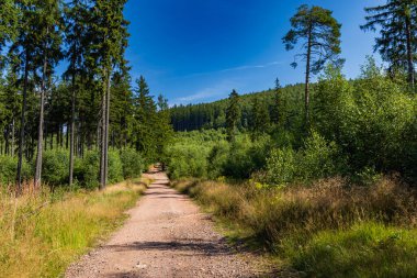 Dağlardaki güzel yeşil ve mavi manzara uzun ve sarp dağ patikalarından görünüyor.