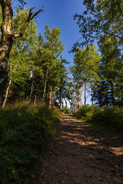 Walbrzych, Poland - August 14 2023: Beautiful high metal and spiral mountain viewing tower on top of Borowa mountain seen from behind trees and bushes next to mountain trail at sunny cloudy day