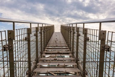 Varşova, Polonya - 14 Ekim 2023: Kütüphane binasının çatısında çiçek yatakları, seralar, bitki bahçeleri ve çimlerin zarif düzenlendiği üniversite kütüphanesi bahçesi