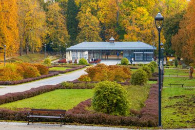 Polanica-Zdroj, Polonya - 21 Ekim 2023: Şehir merkezindeki samimi Satranç Parkı 'ndaki fıskiyeler ve heykellerin etrafındaki renkli çiçek ve çalılarla dolu güzel bir ara sokak