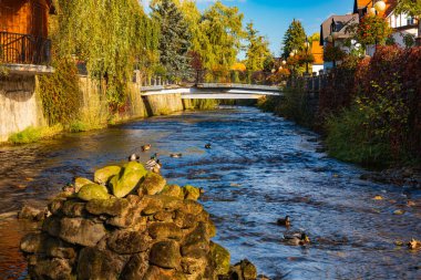 Polanica-Zdroj, Polonya - 21 Ekim 2023: Küçük Bystrzyca Dusznicka nehri ile ana gezinti alanının yanındaki küçük platformdan görülen yüzme ördekleri ile güzel manzara