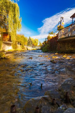 Polanica-Zdroj, Polonya - 21 Ekim 2023: Küçük Bystrzyca Dusznicka nehri ile ana gezinti alanının yanındaki küçük platformdan görülen yüzme ördekleri ile güzel manzara