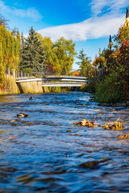 Polanica-Zdroj, Polonya - 21 Ekim 2023: Küçük Bystrzyca Dusznicka nehri ile ana gezinti alanının yanındaki küçük platformdan görülen yüzme ördekleri ile güzel manzara