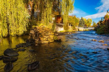 Polanica-Zdroj, Polonya - 21 Ekim 2023: Küçük Bystrzyca Dusznicka nehri ile ana gezinti alanının yanındaki küçük platformdan görülen yüzme ördekleri ile güzel manzara