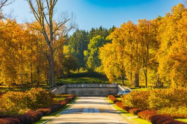 Polanica-Zdroj, Polonya - 21 Ekim 2023: Güneşli bir günde şehir merkezinde şehir merkezinde güneşli bir günde mavi gökyüzü olan samimi satranç parkındaki çeşmeler ve heykellerin etrafındaki renkli çiçek ve çalılarla dolu güzel bir ara sokak