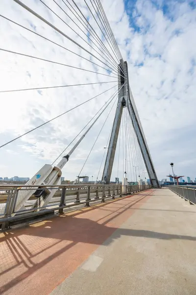 Varşova, Polonya - 14 Ekim 2023: Güzel ve büyük Swietokrzyski karayolu köprüsü kabloyla döşenmiş, 2000 yılında yayalar ve her iki tarafta bisikletçiler için şeritler kurulmuş.