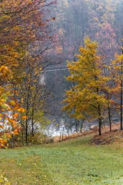 Güzel manzara, küçük yeşil açıklık, altın ağaçlar ve uzun köprüsü olan büyük gölün yanındaki çalılar. 