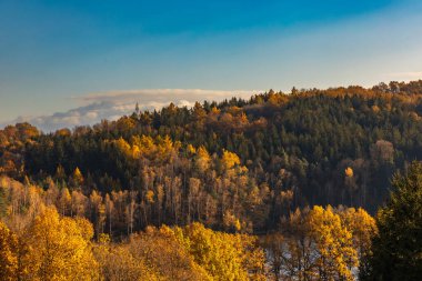 Sonbaharda altın ve yeşil ağaçlarla dolu güzel dağ manzarası ve birkaç küçük bulutla açık mavi gökyüzü.