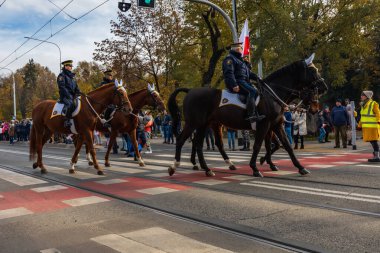 Wroclaw, Polonya - 11 Kasım 2023: 11 Kasım 'da Wroclaw şehir sokaklarında yürüyen güzel ve renkli Bağımsızlık Yürüyüşü