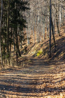 Long mountain trail at small massif with beautiful views around at morning clipart