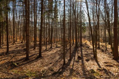 Sabahları güzel manzaralı küçük bir kalabalıkta uzun dağ yolu.