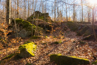 Kışın güneşli bir günde, dağ patikasının yanında birkaç küçük ve dev kaya oluşumu.