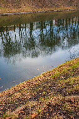 Yüksek ağaçlar ve geride kalan birkaç bina kışın çözülmesinden sonra küçük şehir hendeklerine yansıyor.