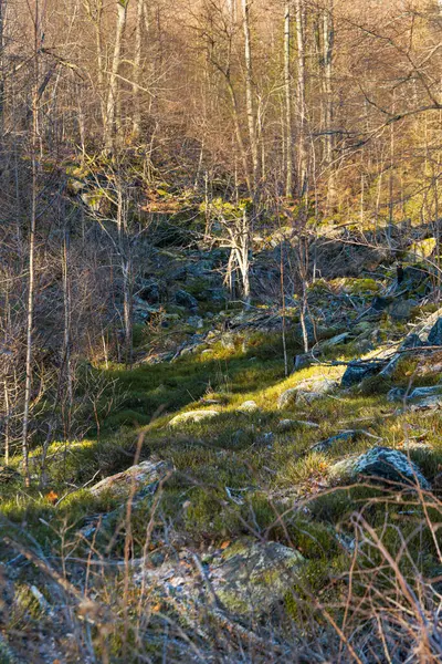 stock image Few small and giant rock formations next to mountain trail at sunny day at winter