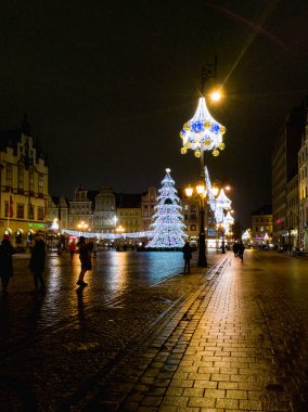Wroclaw, Polonya - 31 Ocak 2024: Yüksek ağaçlar ve kışın çözülmesi sonrasında küçük şehir hendeklerine yansıyan birkaç bina
