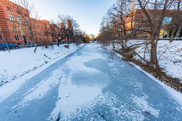 stock image Wroclaw, Poland - January 31 2024: High trees and few buildings behind reflecting in small city moat after winter thaw