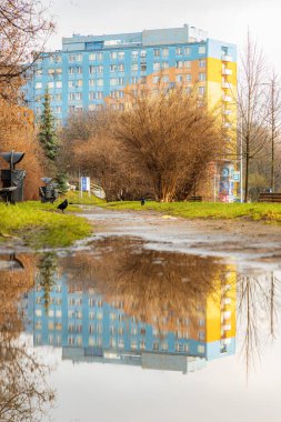 Wroclaw, Polonya - 17 Şubat 2024: Küçük ahşap banklı küçük meydan ve renkli cepheli eski apartman bloklarının yanında az sayıda çalı
