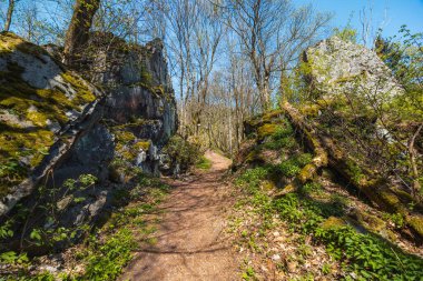Walbrzych dağlarındaki uzun dağ yolunun ortasındaki güzel taş kapı. 