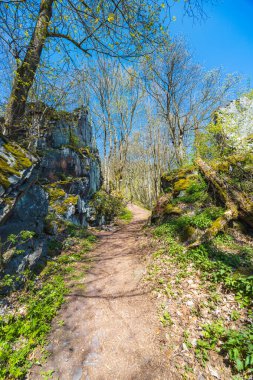 Walbrzych dağlarındaki uzun dağ yolunun ortasındaki güzel taş kapı. 