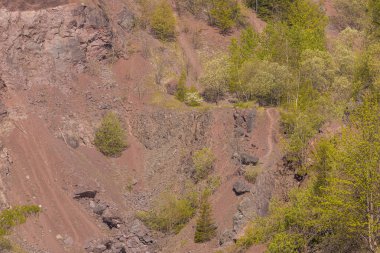 Huzurlu bir orman olan Kamyki Gölü, açık mavi gökyüzünün altındaki canlı yeşil yeşillikleri yansıtarak sakin ve sakin bir atmosfer yaratıyor.