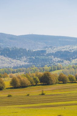 Huzurlu Kırsal Alandaki Manzaralı Yuvarlak Tepeler ve Yeşil Alanlar