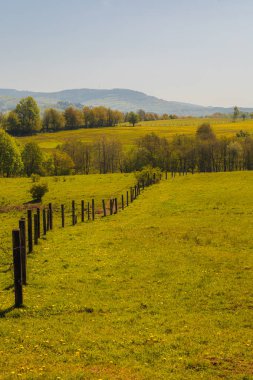 Yuvarlanan Tepeler ve Açık Bir Gökyüzünün Altındaki Çit Hattı ile Huzurlu Bahar Çayırı