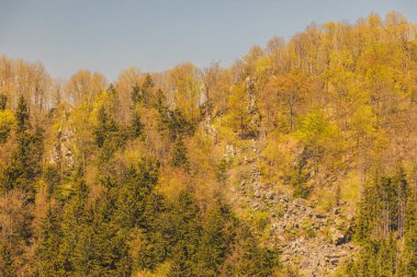 Walbrzych dağlarının güzel manzarası güneşli bir günde Gomolnik Maly dağının tepesindeki yeni izleme platformundan görüldü.