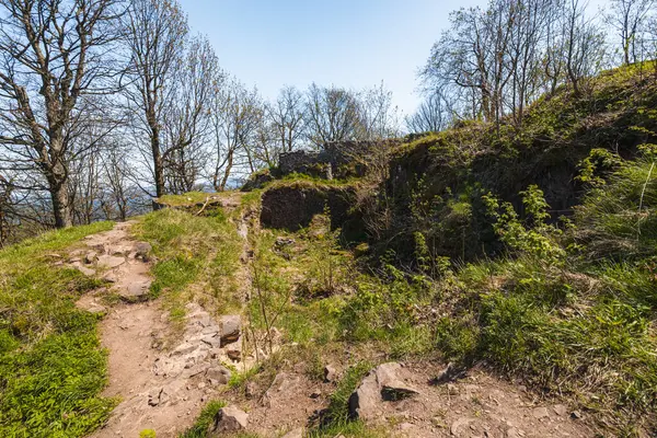 stock image Beautiful green landscape of Walbrzych mountains with blue sky seen from top of Rogowiec mountain 870 meters above the sea level with ruins of old castle 