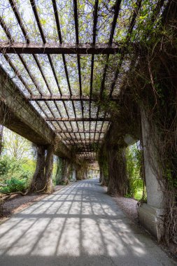 Wroclaw, Polonya - 14 Nisan 2024 Wroclaws Centennial Hall 'da Pergola Altında Huzur Yolu