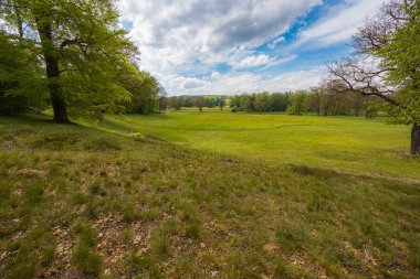 Tarihi Tuğla Köprüsü ve Ağaçları olan İdilik Kırsal Çayırda