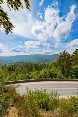 Büyüleyici Dağ manzarası Yemyeşil Orman manzarası