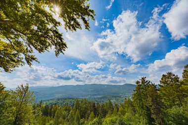 Büyüleyici Dağ manzarası Yemyeşil Orman manzarası