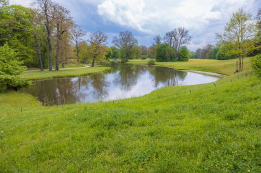 Bereketli Bahar Manzarasında Serene Pond