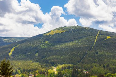 Scenic View of a Forested Mountain under a Partly Cloudy Sky clipart