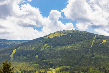 Scenic View of a Forested Mountain under a Partly Cloudy Sky clipart